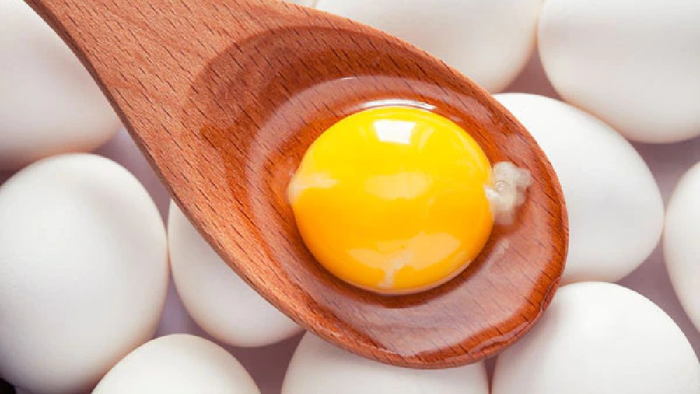 প্রতীকী ছবি।