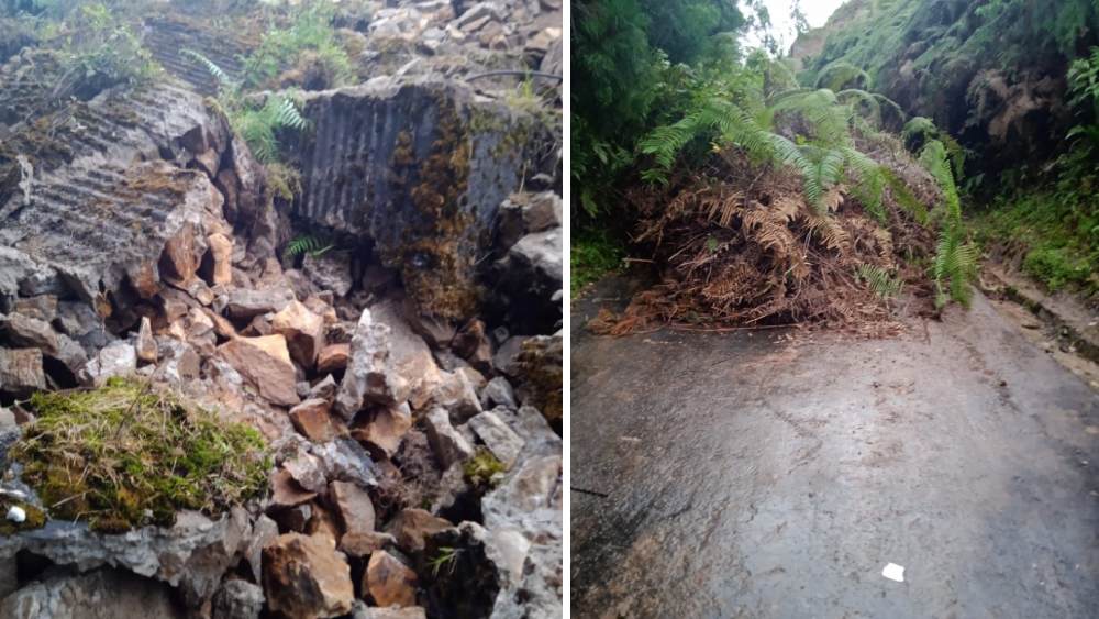 সাহানারা এই পথ দিয়েই সমতলে ফিরেছিলেন, পরে তার চেহারা...