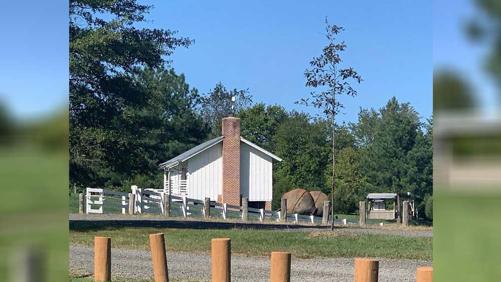 কারও মতে, এর ভিতরে পাথর দিয়ে ঘোরানোর সময় খুব জোর শব্দ তৈরি হয়। ভাল ভাবে শুনলে মনে হতে পারে যেন এক ঝাঁক ভীমরুল উড়ে বেড়াচ্ছে। সে কারণেই এমন নামকরণ বলে মনে করেন অনেকে।