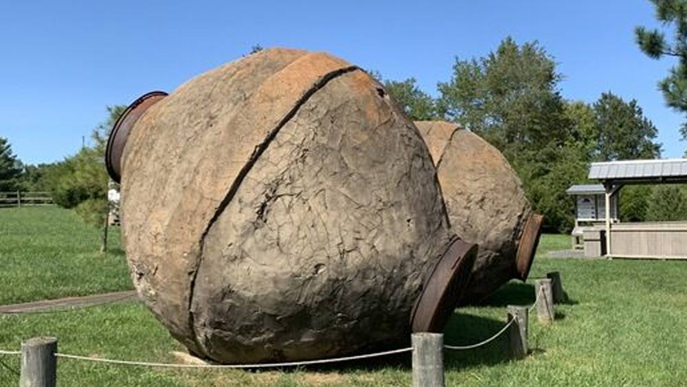 তবে বলগুলি নিয়ে রহস্য এখনও কাটেনি। বলগুলির নাম রাখা হয়েছিল ‘হর্নেট’। এমন নামকরণ নিয়েও ভিন্ন মত রয়েছে। অনেকেরই মত, দেখতে অনেকটা ভীমরুলের চাকের মতো হওয়াতেই এর নাম রাখা হয়েছে ‘হর্নেট’। ইংরাজিতে ভীমরুলকে ‘হর্নেট’ বলা হয়।