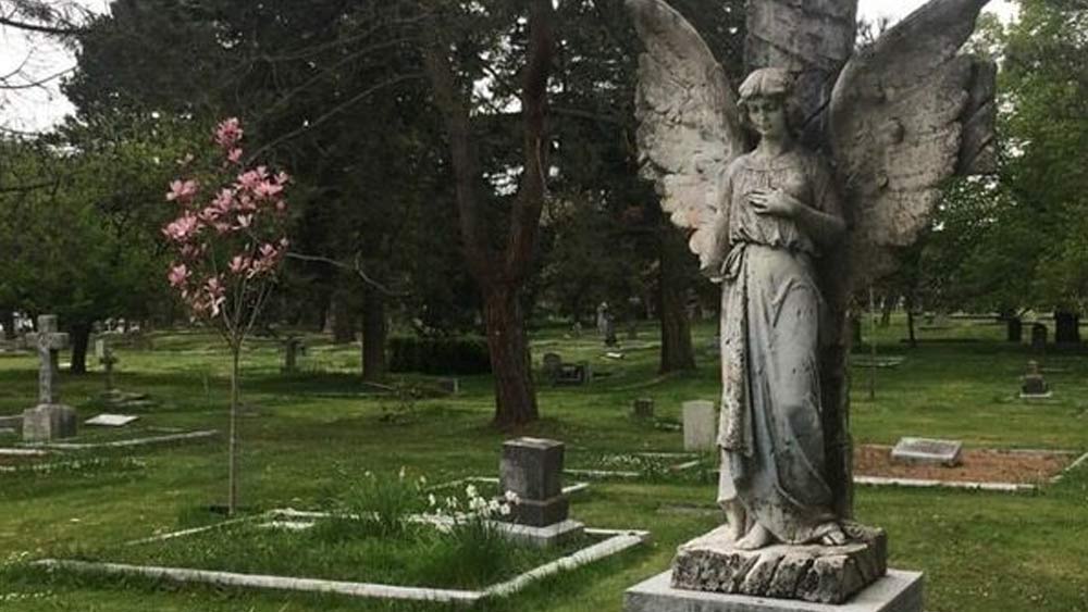 হেনরিয়েটার অন্ত্যেষ্টির কার্ডেও ধাঁধা ছিল। ধাঁধার মধ্যে দিয়েই আমন্ত্রিতদের জানানো হয়েছিল কত বছর বয়সে, কী ভাবে হেনরিয়েটার মৃত্যু হয়েছিল। সেই কার্ডে উল্লেখ ছিল, ১১ সপ্তাহের অসুস্থতার পর ২৩ বছর দু’মাস এবং ১৭ দিন বয়সে মৃত্যু হয় তাঁর। পেশায় মডেল ছিলেন হেনরিয়েটা।