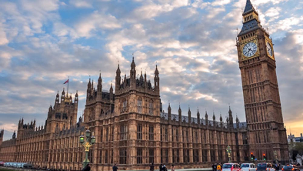 এর মাত্র তিন মাসের মধ্যেই ব্রিটেনে ওই ব্যক্তির সঙ্গে যৌথ ভাবে ব্যবসা শুরু করেন তিনি। তাঁর সংস্থা ওয়েব ডিজাইনিং, ওয়েব ডেভেলপমেন্ট, গ্রাফিক ডিজাইনিং, অ্যাপ ডেভেলপমেন্ট, সফটওয়্যার ডেভেলপমেন্ট এবং ডিজিটাল মার্কেটিং নিয়ে কাজ শুরু করে।