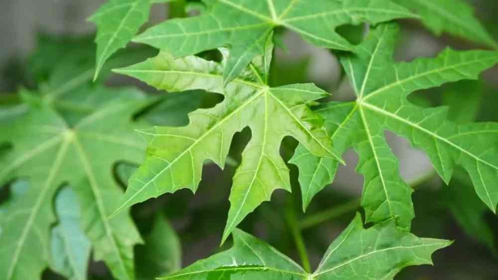 প্রতীকী ছবি।