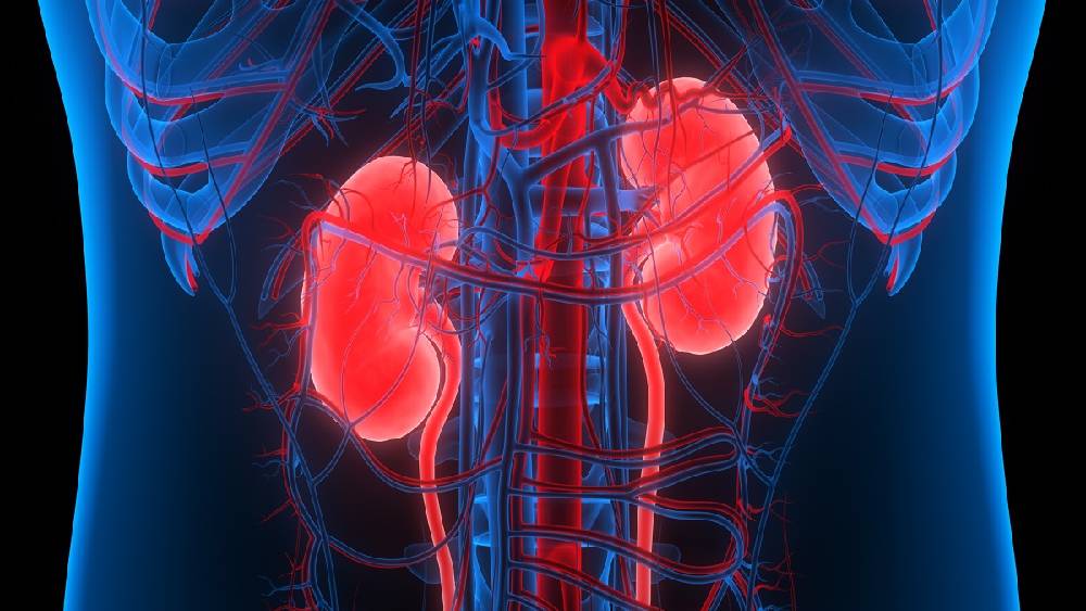 প্রতীকী ছবি।