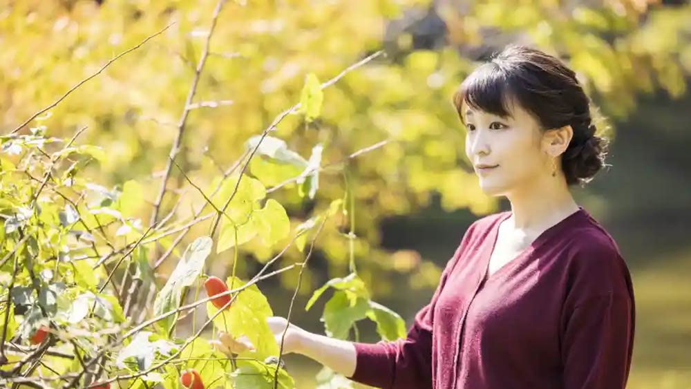 কোমুরোর সঙ্গে মাকোর প্রথম দেখা ২০১২ সালে। মাকো তখন রাজপরিবারের প্রথা ভেঙে টোকিয়োর ইন্টারন্যাশনাল ক্রিশ্চিয়ান বিশ্ববিদ্যালয়ে পড়তে যান। সেখানেই দু’জনের আলাপ।