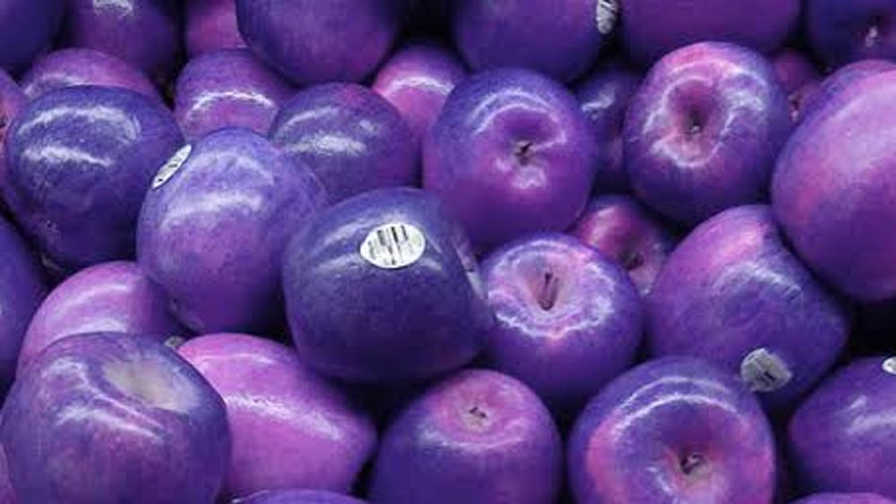 এই আপেল সরাসরি গাছ থেকে পেড়ে খাওয়া যায় না। সে ক্ষেত্রে স্বাদ অতটা ভাল লাগবে না। এই আপেল বেশ কিছু দিন রেফ্রিজারেটরে রেখে তার পর খেতে হয়।