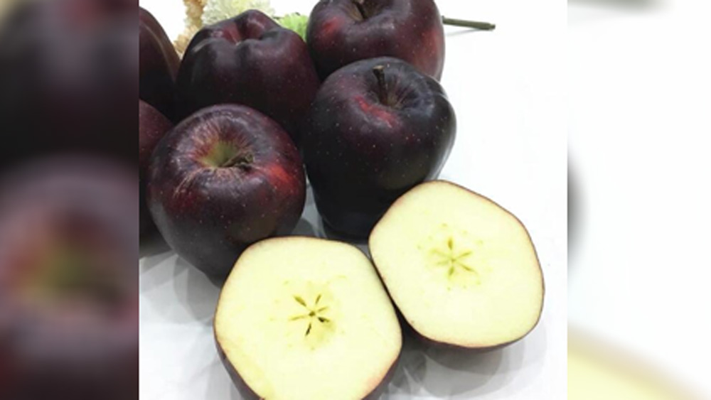 এর পুষ্টিগুণ কতটা? এই প্রশ্ন অনেকের মনে ঘুরপাক খাচ্ছে নিশ্চয়। পুষ্টির প্রশ্নে কিন্তু কিছুটা পিছিয়েই রয়েছে কালো আপেল।