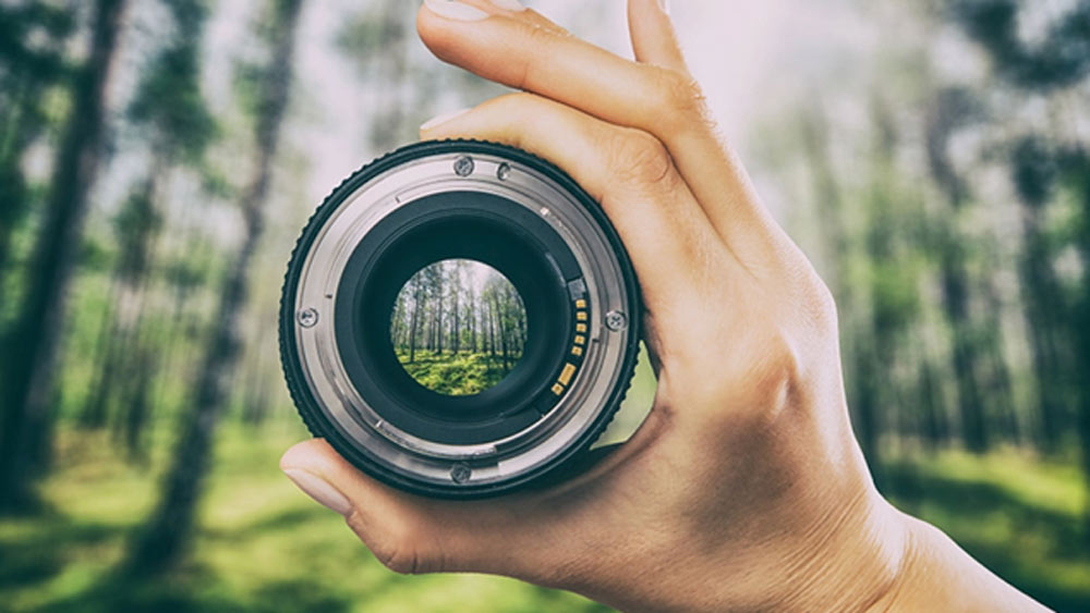 সম্প্রতি ইটালির সিয়েনায় অনুষ্ঠিত আন্তর্জাতিক স্থির চিত্র প্রতিযোগিতায় অংশ নিয়েছিলেন বিশ্বের সমস্ত প্রান্তের চিত্রগ্রাহকেরা। তাঁদের তোলা কয়েকটি ছবি তুলে ধরা হল এই প্রতিবেদনে।