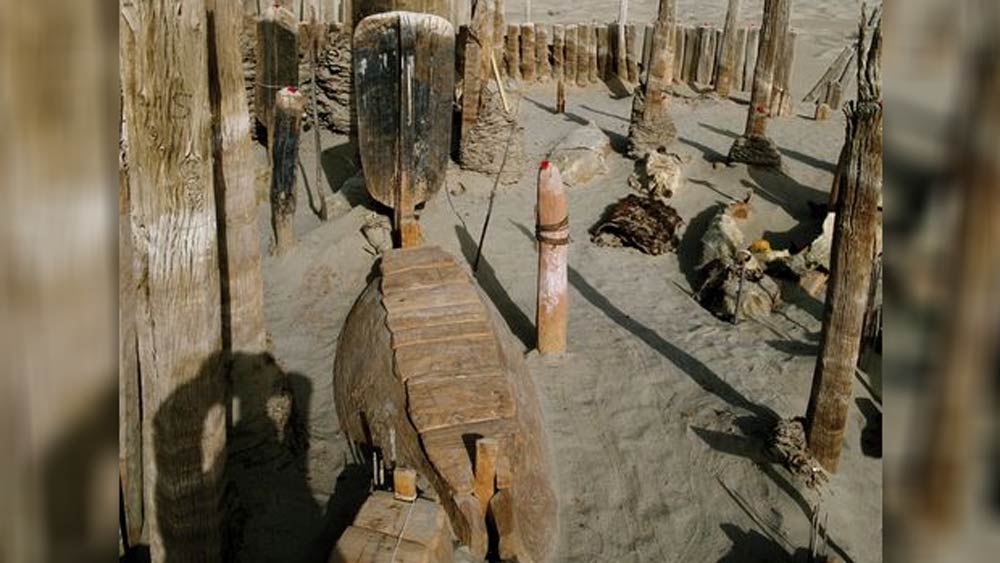 মনে করা হয়েছিল, তাঁদের হাত ধরেই চাষাবাদ শিখেছে ওই অঞ্চল। কিন্তু ডিএনএ-র বিশ্লেষণ করে নতুন তথ্য হাতে পেয়েছেন বিজ্ঞানীরা।