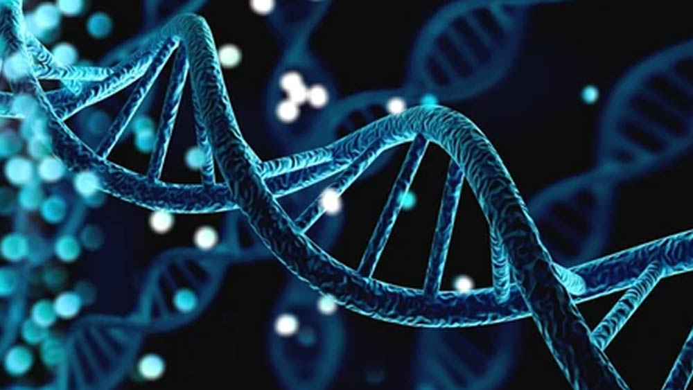 ডিএনএ-র বিশ্লেষণ করে বিজ্ঞানীরা জানতে পেরেছেন, নয় হাজার বছর আগে এশিয়ায় বসবাসকারী প্রস্তর যুগের শিকারীরাই এঁদের পূর্বপুরুষ।