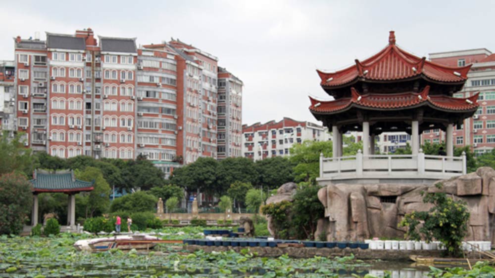 বিশ শতকের গোড়াতে চিনের জিংজিয়াং প্রদেশে মাটি খুঁড়ে এই মমিগুলি উদ্ধার হয়েছিল। জিংজিয়াং প্রদেশের তাকলামাকান মরুভূমির ওই অঞ্চল এক সময় কবরস্থান হিসাবে ব্যবহৃত হত। মরুভূমির অনেকটা অংশ জুড়ে ছড়িয়ে ছিল মমিগুলি।