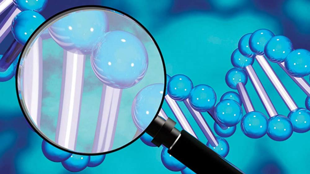 সম্প্রতি মমিগুলির ডিএনএ পরীক্ষা করে দেখেছেন, পশ্চিমি মানুষের সঙ্গে তাঁদের জিনগত বিস্তর ফারাক রয়েছে। বরং পাঁচ হাজার বছর আগে মধ্য এশিয়ার বসবাসকারী গোষ্ঠীর সঙ্গে অনেক মিল রয়েছে।