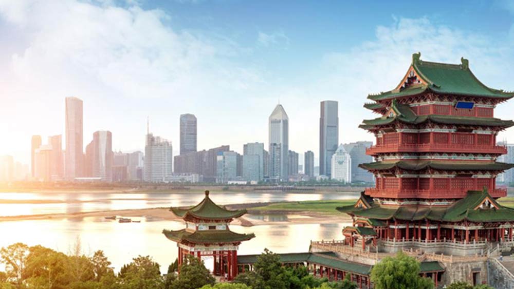 সেই সমস্ত তথ্য দেখেই বিজ্ঞানীরা নিশ্চিত হয়েছেন পশ্চিম থেকে আগত অভিবাসী তাঁরা নন। চিনেরই আদি বাসিন্দা। 