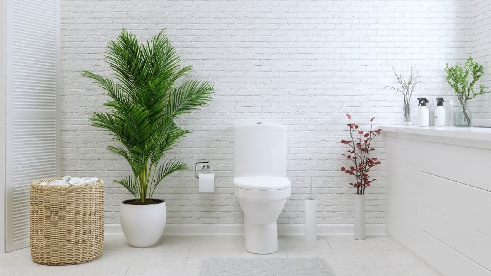 প্রতীকী ছবি।