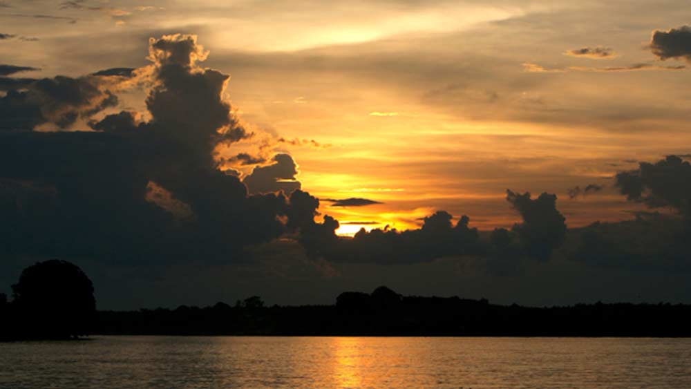 অনেক খোঁজার পর সম্প্রতি ইন্দোনেশিয়ার মুসি নদীর মাঝে ওই দ্বীপের সন্ধান মিলেছে। দ্বীপের সঙ্গে হারিয়ে যাওয়া এক সভ্যতারও খোঁজ মিলেছে। পাঁচ বছর আগে ইন্দোনেশিয়ায় এমন এক গুপ্তধনে ভরা দ্বীপের কথা জানিয়েছিলেন বিশেষজ্ঞরা। তার পর থেকেই খোঁজ শুরু হয়।