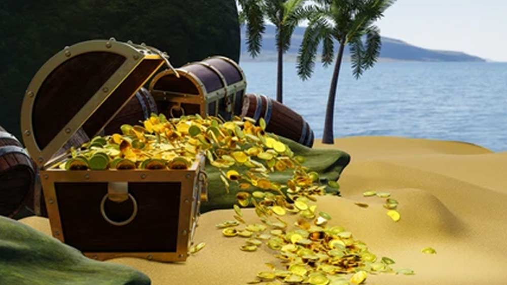 সোনাদানায় পূর্ণ ওই দ্বীপের খোঁজ মেলার পর বাকরুদ্ধ হয়ে গিয়েছিলেন তাঁরা। মূল্যবান পাথর, সোনার গয়না, ব্রোঞ্জের মূর্তি এবং দুর্মূল্য একটি বুদ্ধ মূর্তি পাওয়া গিয়েছে দ্বীপ থেকে। শুধুমাত্র বুদ্ধ মূর্তিটির মূল্যই কয়েক কোটি টাকা বলে জানিয়েছেন বিশেষজ্ঞরা।