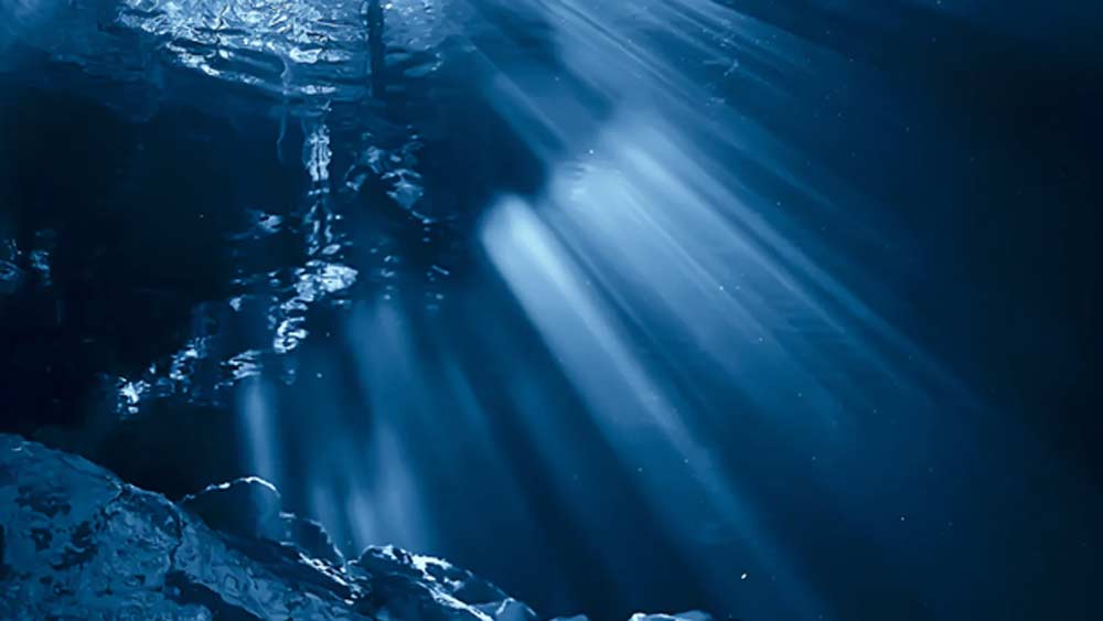 এই সাম্রাজ্যে শুধু সেনাই ছিল ২০ হাজারের বেশি। পাশাপাশি অনেক বৌদ্ধ সন্ন্যাসীও থাকতেন। বহু আগে থেকেই এমন একটা সভ্যতার আভাস পেয়েছিলেন প্রত্নতত্ত্ববিদরা। কিন্তু তার কোনও খোঁজ মিলছিল না। গত পাঁচ বছরে কিছু কিছু প্রাচীন মুদ্রা, সোনার গয়না, বুদ্ধ মূর্তির খোঁজ মিলছিল। তা দেখেই শ্রীবিজয় সভ্যতা নিয়ে নিশ্চিত হন প্রত্নতত্ত্ববিদরা।