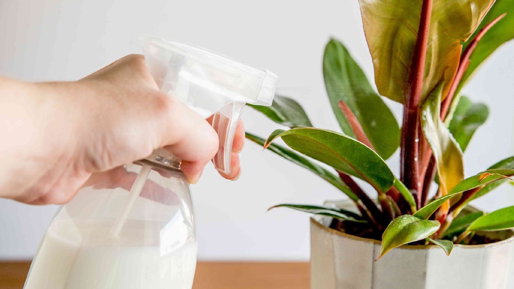 প্রতীকী ছবি।