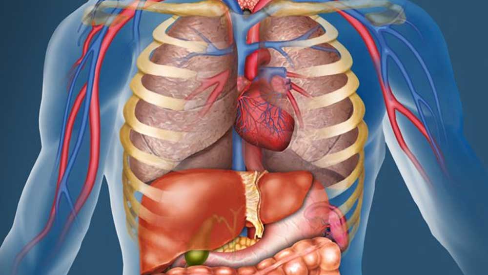 এই মাছের বায়ু পটকা দিয়ে বৃক্কের নানা রোগ নিরাময়ের ওষুধ তৈরি হয়। বিশেষ করে বৃক্কে পাথর জমলে,তা দূর করতে নাকি দারুণ উপকারি ঘোল মাছের পটকা থেকে উৎপন্ন ওষুধ।
