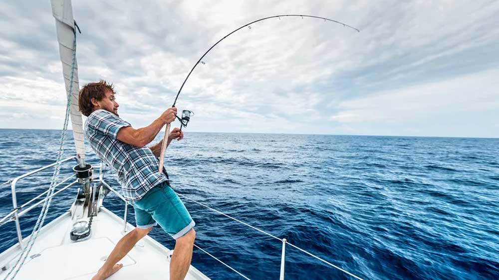 রোগ প্রতিরোধ ক্ষমতা বাড়াতে এবং যৌন ক্ষমতা বাড়াতে সাহায্য করে ওই মাছের হৃদয়। যে কারণে এ হৃদয়কে ‘সোনার হৃদয়’ও বলা হয়।