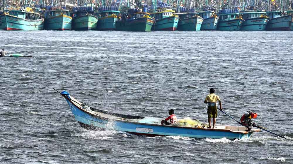 এর আগে সাড়ে ১৯ কেজির একটি ঘোল মাছ ধরা পড়েছিল ওড়িশায়। এক ওষুধ প্রস্তুতকারক সংস্থা সেটি আট হাজার টাকা কেজিতে কিনেছিল। তারপর ২০১৯সালে ১০ কেজি ওজনের মাছ ধরা পড়েছিল জালে। বিক্রি হয়েছিল কেজি প্রতি ১০ হাজার টাকায়। ১৯ কেজির ওই মাছটিই এখনও পর্যন্ত ভারতে ধরা পড়া সবচেয়ে বড় ঘোল মাছ।