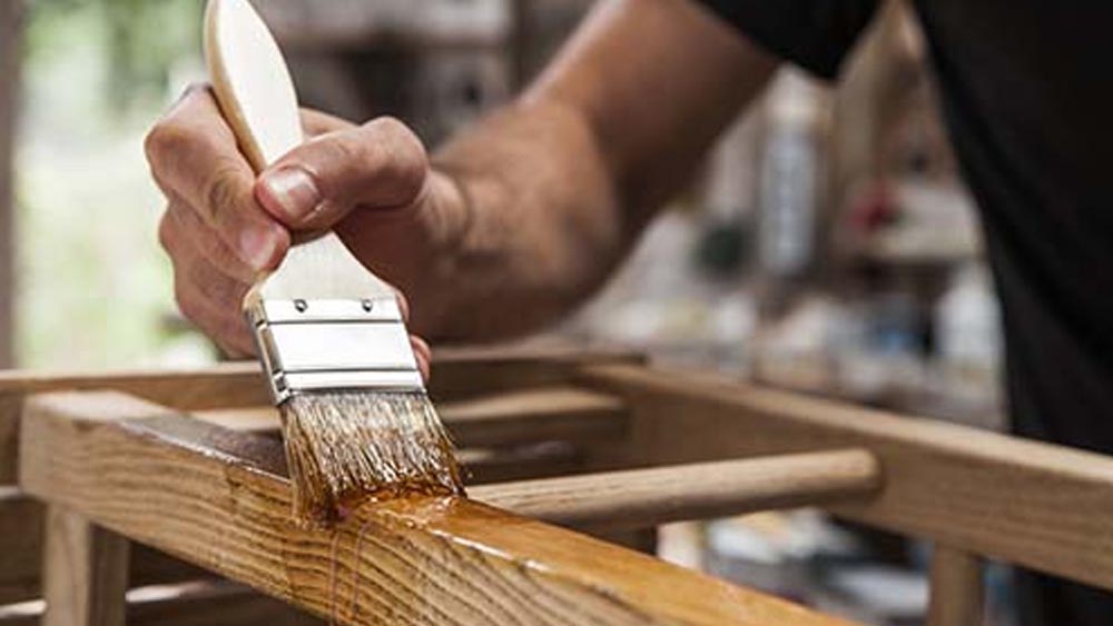 বার্নিশের প্রলেপ বাঁচাতে পারে ঘুণের থেকে