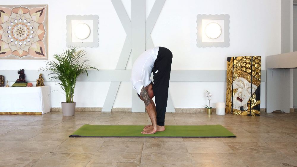 পদহস্তাসন।