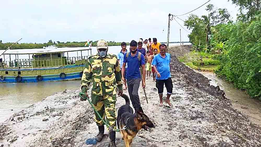 অনুসন্ধান: বাঘের খোঁজে ইকনা।