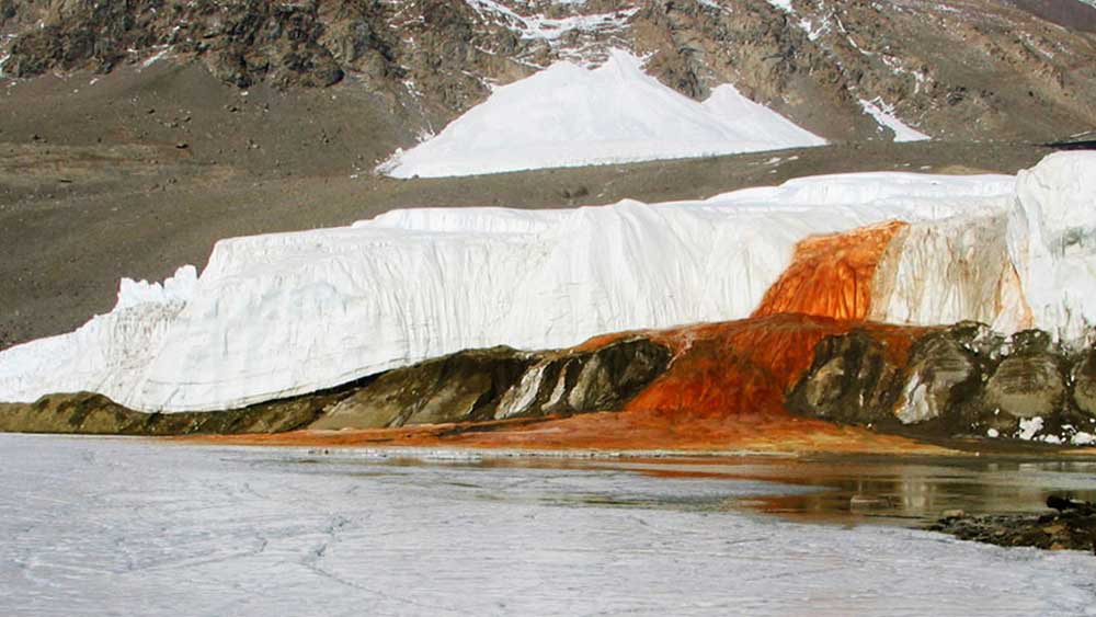 তাঁর নামানুসারেই পরবর্তীকালে এই উপত্যকার নাম রাখা হয় টেলর ভ্যালি। কিন্তু উপত্যকার হদিশ মিললেও কোথা থেকে এই রক্ত ঝরে পড়ছে বা কেন এই গাঢ় লাল রং তা জানা ছিল না কারও।