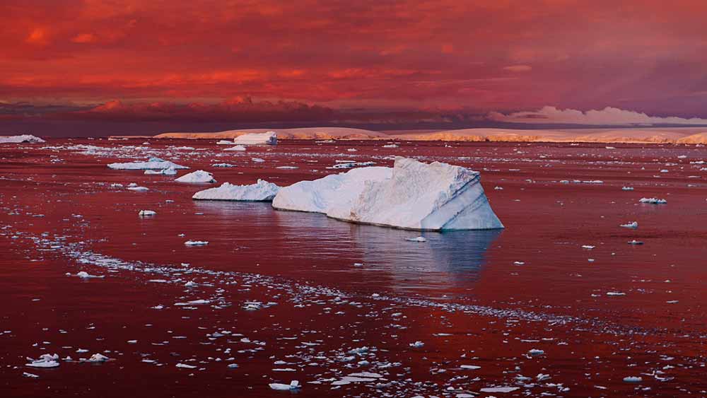 পশ্চিম আন্টার্কটিকার ভিক্টোরিয়া ল্যান্ডে অবস্থিত এই উপত্যকা প্রথম সামনে আসে ১৯১১ সালে। ১৯১১ সালে প্রথম এই রক্ত ঝর্না আবিষ্কার করেন অস্ট্রেলিয়ার ভূতত্ত্ববিদ গ্রিফিথ টেলর।