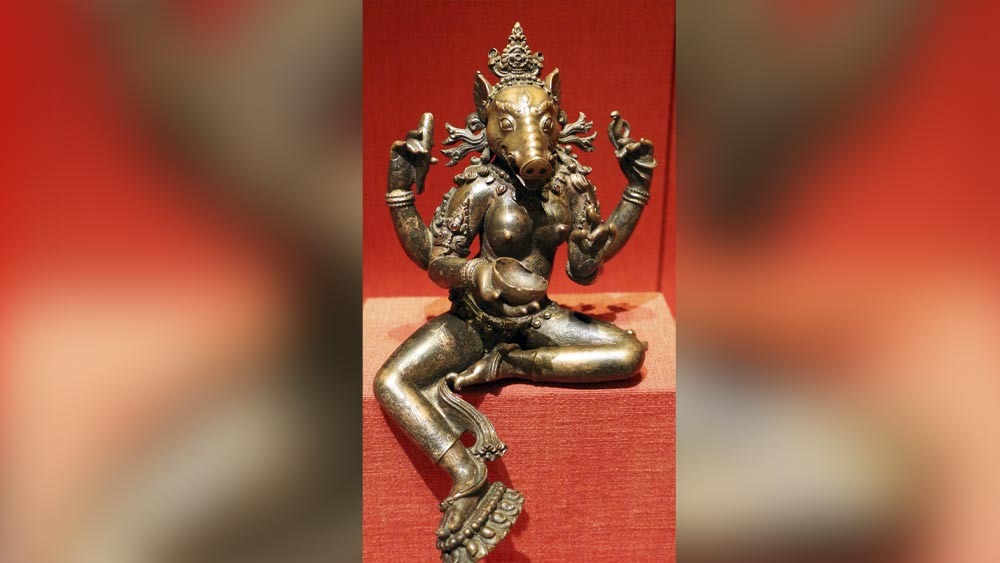 বিষ্ণুর বরাহ অবতারের শক্তি ছিলেন দেবী বারাহী। এই দেবীর মস্তক বরাহের মতো। তাঁর হাতে শোভা পায় একটি দণ্ড, বজ্র, লাঙল, পানপাত্র অথবা তরবারি। কোথাও আবার তাঁকে ঘণ্টা, চক্র, ধনুক ও চামর ধরে থাকতেও দেখা যায়।