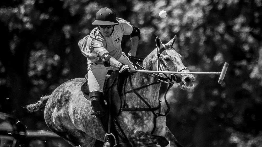 জুনেইদের একাধিক পরিচয়। তিনি এক দিকে যেমন রাজনীতিবিদ, অন্য দিকে উদ্যোগপতি, হর্স-রাইডার, নেটমাধ্যমের তারকাও। তাঁর জন্ম ১৯৯৪ সালের ৭ এপ্রিল।