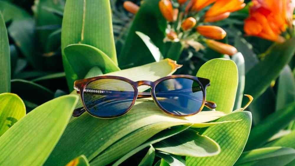 প্রতীকী ছবি