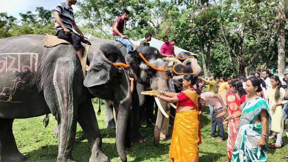 People of Dooars worship elephant on Vishwakarma Puja dgtld