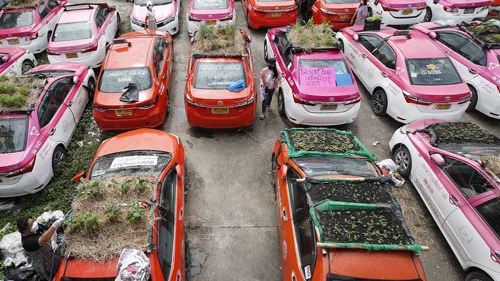 সারি দিয়ে দাঁড়িয়ে থাকা ট্যাক্সির মাথা আজ সবুজে ভরে গিয়েছে। ফের কবে রাস্তায় ছুটবে জানা নেই, সব্জি বিক্রির টাকা কতটাই বা ঋণ পরিশোধ এবং চালকদের পেট ভরাতে কাজে লাগবে সে হিসাব কষার আগে এ কথা স্বীকার করতেই হয়, রাতচাফ্রুয়েক ট্যাক্সি কোঅপরেটিভ-এর এই উদ্যোগ অভিনব।