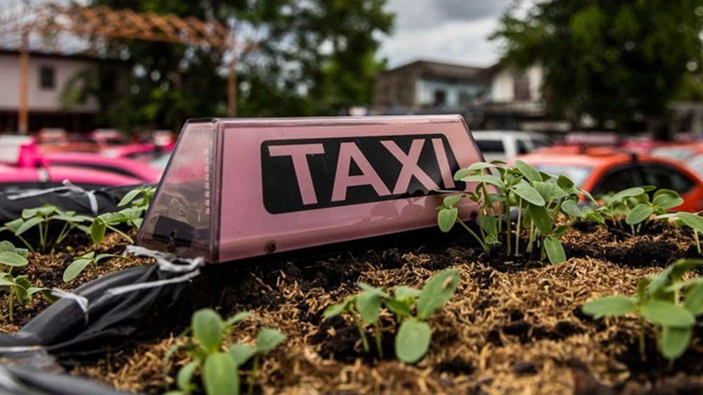 রোজকার কোলাহল উধাও। রাস্তায় বেরোলে ট্যাক্সির হর্নও সে ভাবে আর কানে আসে না। ছবিটি বরং একেবারে উল্টেই গিয়েছে। রাস্তার এক পাশে সার দিয়ে ট্যাক্সি দাঁড়িয়ে থাকতে দেখা যায়। দীর্ঘদিন পড়ে থেকে শীতল হয়ে গিয়েছে তাদের ইঞ্জিন।