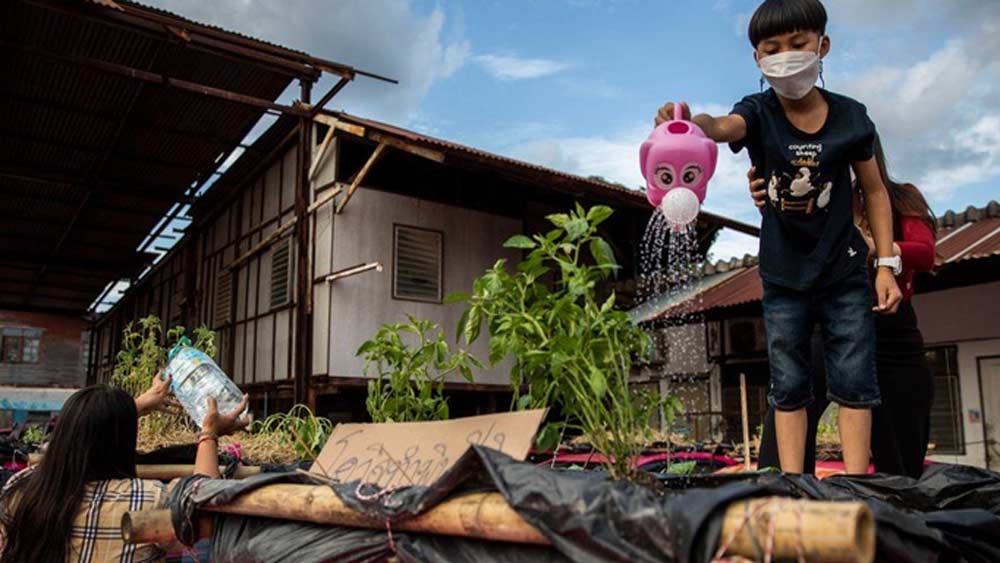 ট্যাক্সির ছাদে এবং সামনে-পিছনে বাঁশের কাঠামো করে প্রথমে তার উপর কালো রঙের প্লাস্টিক বিছিয়ে দেওয়া হয়েছে। তার পর মাটি এবং উপযুক্ত পরিমাণ সার মিশিয়ে সব্জি ফলানোর উপযোগী উর্বর মাটি তৈরি করে নিয়েছে। এই মাটিতেই লঙ্কা, শশা-সহ একাধিক সব্জির বীজ ছড়িয়ে দেওয়া হয়েছে।