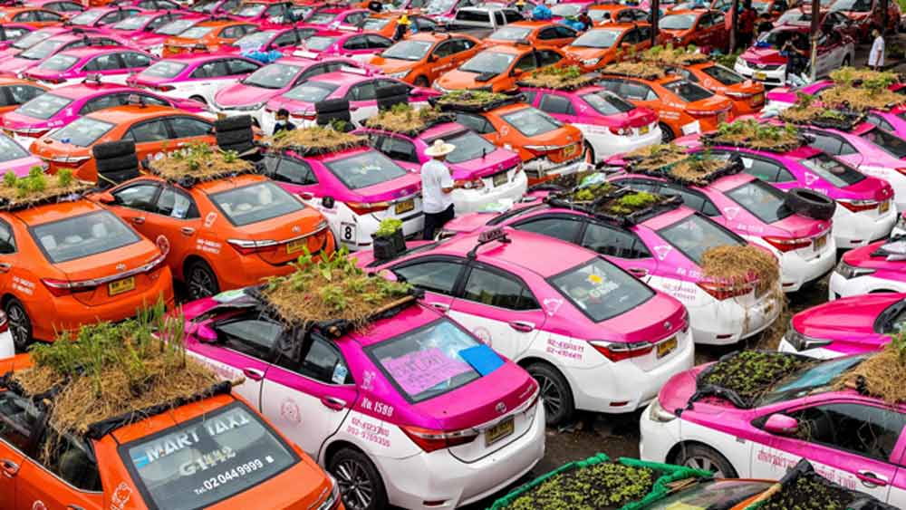 এর পর বেঁচে থাকা সব্জি বিক্রি করেন তাঁরা। ওই সংস্থার পক্ষ থেকে জানানো হয়েছে, দীর্ঘদিন পর্যটন শিল্প ধুঁকতে থাকায় বহু ট্যাক্সির ঋণও শোধ করা যায়নি।