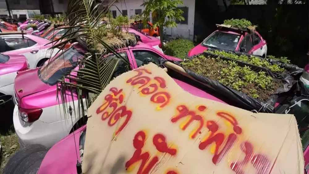 প্রতিদিন তাতে জল দিয়ে গাছের দেখাশোনা করেন ওই সংস্থার কর্মীরা। ক্রমে সেই বীজ থেকে গাছ বেরিয়ে তাতে নানা সব্জি ফলেছে। সেই সমস্ত সব্জি ওই সমস্ত ট্যাক্সির চালকদেরই দেয় সংস্থাটি।