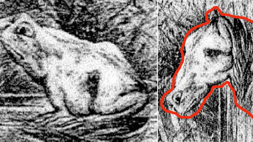 ছবিটা একটু বাঁ দিকে ঘোরালেই বুঝতে পারবেন। 