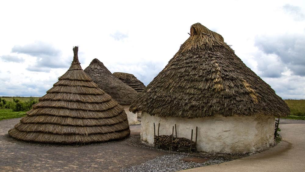 প্রকৃত কারণ সম্পূর্ণ ভিন্ন। প্রকৃত কারণ বোঝানোর জন্য ‘সিউডোনেগলেক্ট’ শব্দটি ব্যবহার করেন বিজ্ঞানীরা। জীববিদ্যায় ব্যবহৃত একটি শব্দ ‘সিউডোনেগলেক্ট’।