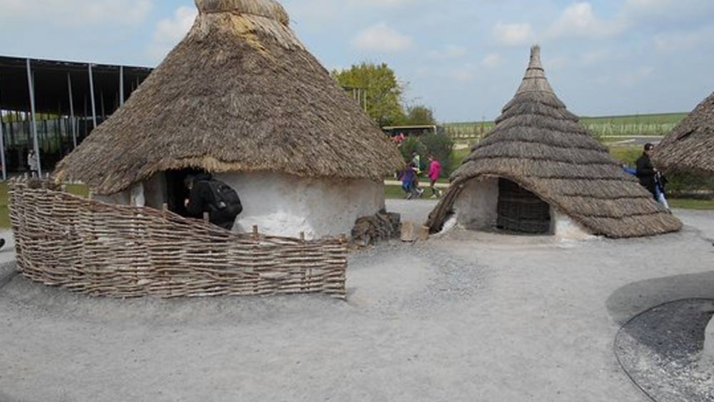 একটি অনুভূমিক রেখা এঁকে কয়েক জনকে তার মাঝখান চিহ্নিত করতে দিয়ে এই বিষয়টি পর্যালোচনাও করেছেন বিজ্ঞানীরা। সবটাই আসলে মানুষের মস্তিষ্কের খেল।