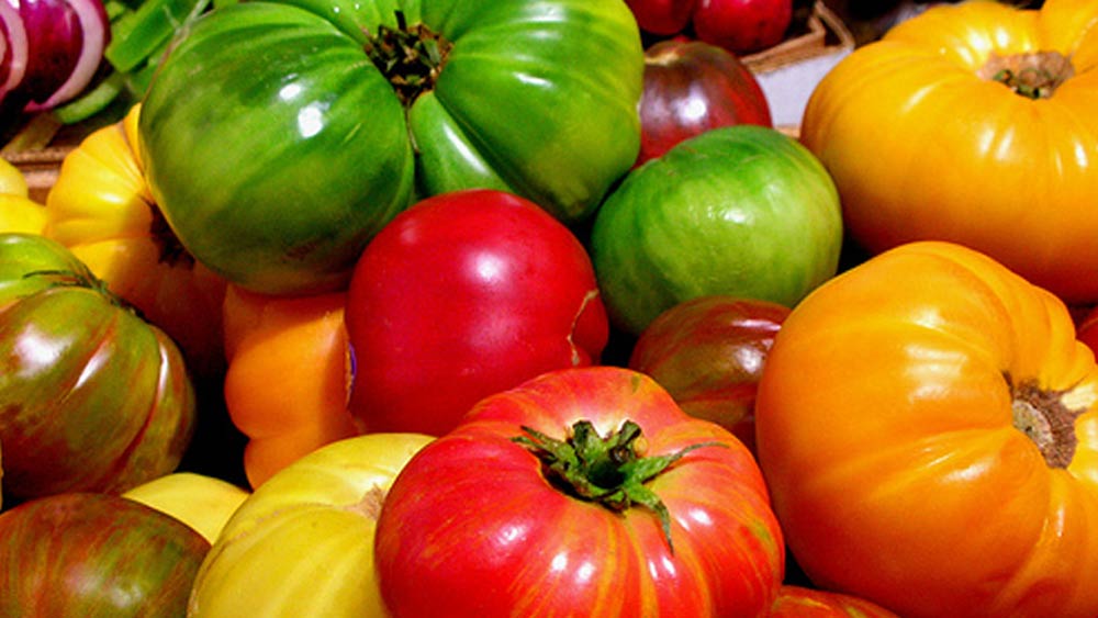 গ্রাহামের রেকর্ড ভেঙে ফেলেছেন স্মিথ। ২০১০ সালে গ্রাহাম একটি ডালে ৪৪৮টি টোম্যাটো ফলিয়ে রেকর্ড করেছিলেন। ১১ বছর পর তার দ্বিগুণ টোম্যাটো ফলালেন স্মিথ।