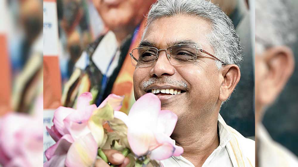 দিলীপ নেতাসুলভ কূটনীতির কোনও ধার ধারেননি।