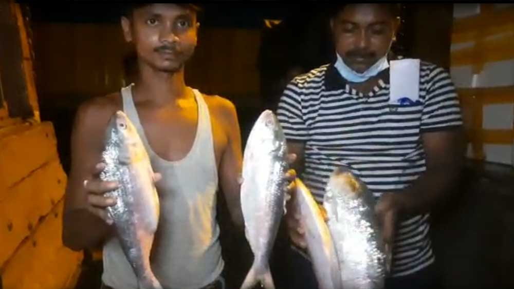 পেট্রাপোল সীমান্তে এল ১৬ টন ইলিশ।