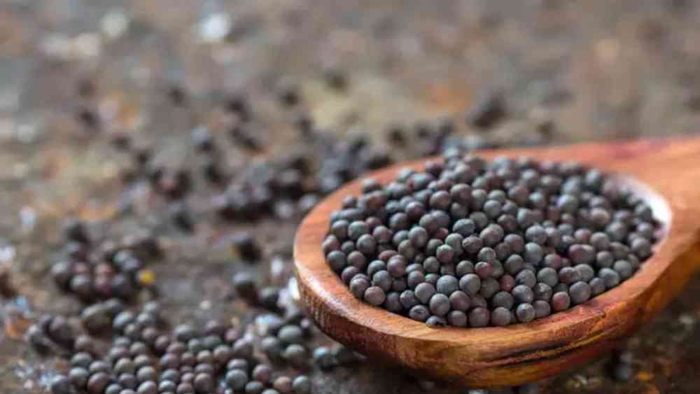 প্রতীকী ছবি।