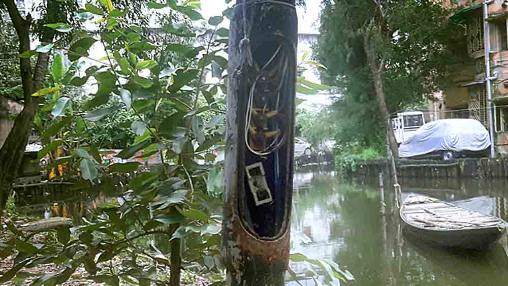 বান্ধবনগরে তড়িদাহত হয়ে দুই ছাত্রীর মৃত্যুর পরেও বাতিস্তম্ভ থেকে খোলা তারের কুণ্ডলী দেখা যাচ্ছে এলাকায়। ছবি: স্নেহাশিস ভট্টাচার্য