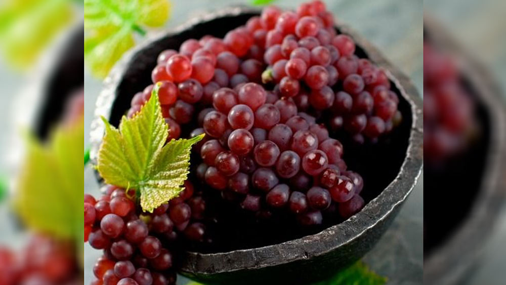 ১৪ বছর ধরে জমি তৈরি করার পর জাপানে এই আঙুরের চাষ সম্ভব হয়েছে। প্রতি বছর মাত্র ২৪ হাজার আঙুরের থোকা ফলানো সম্ভব হয়। এর মধ্যে যে আঙুরগুলির গুণগত মান বজার থাকে সেগুলিতে স্টিকার মারা হয়। সেগুলিই একমাত্র বিক্রি করা যায়।