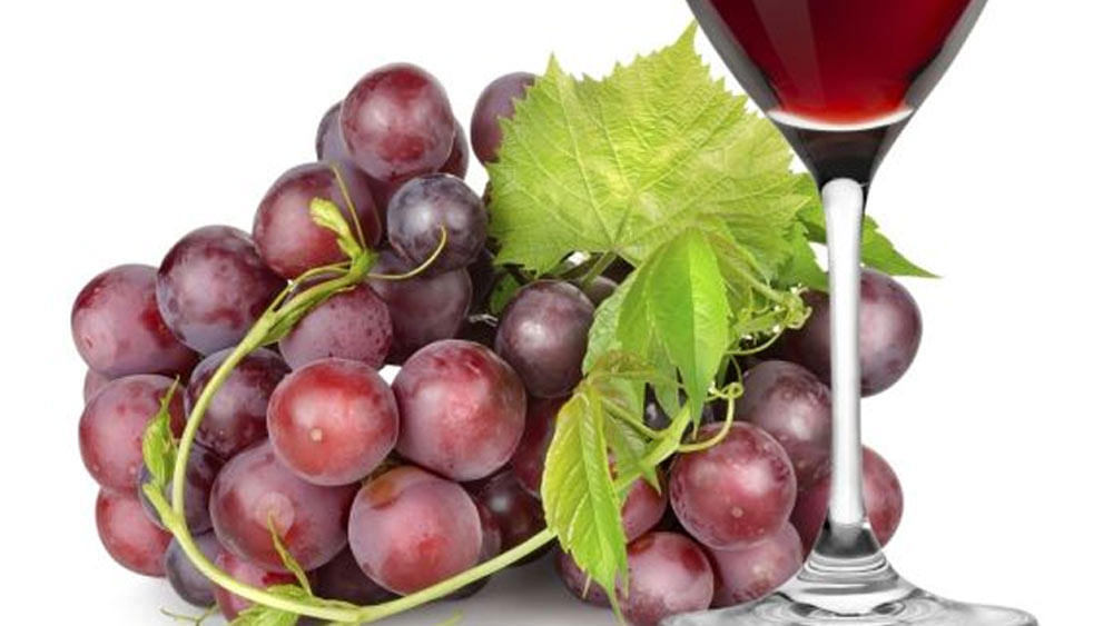 প্রতিটি আঙুরের গুণগত মাণ বিচার করা হয়। সেগুলির স্বাদেও যাতে কোনওরকম খামতি না হয়, সে দিকেও বিশেষ নজর থাকে বিশেষজ্ঞদের।