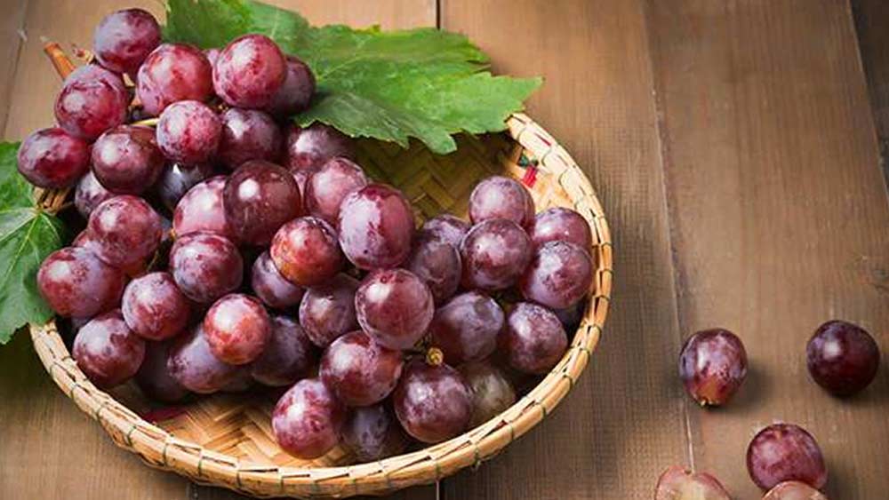 এই গাছে ফল ধরানোও খুব কঠিন। জাপানের ইশিকাওয়াতেই একমাত্র এর চাষ হয়। খুব কম পরিমাণে ফলন হয় গাছের। তার মধ্যে আবার সমস্ত ফল বিক্রি করা যায় না। দাম দিয়ে কিনে সাধারণ মানুষকে যাতে প্রতারিত না হতে হয় তার জন্য বিশেষ ব্যবস্থা করেছে জাপান সরকার।